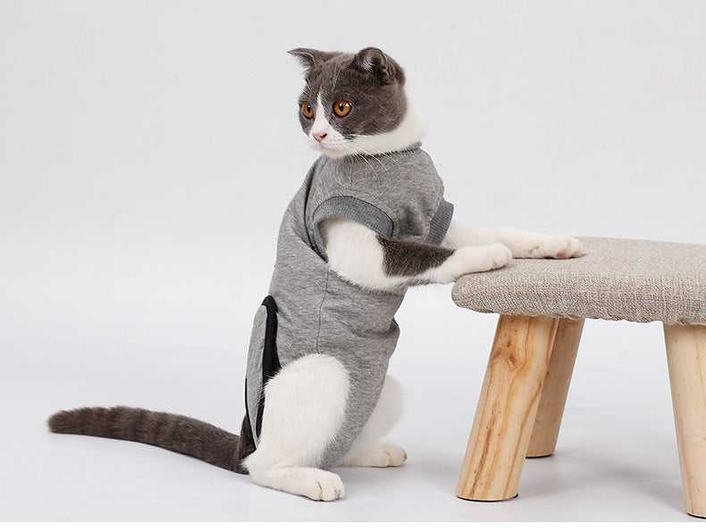 Cat Recovery Suit – Post-Surgery & Anti-Mite Protection