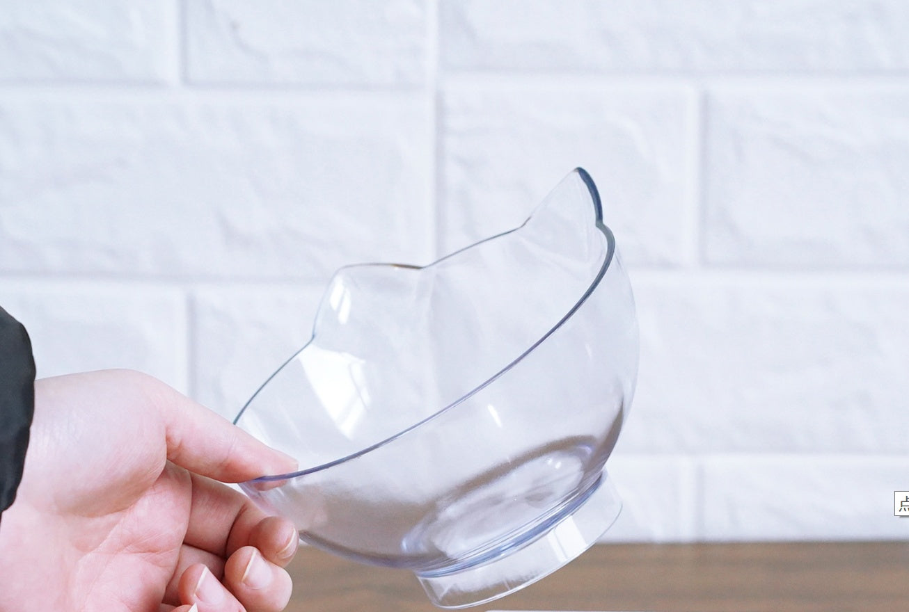 Transparent Tilted Pet Bowl