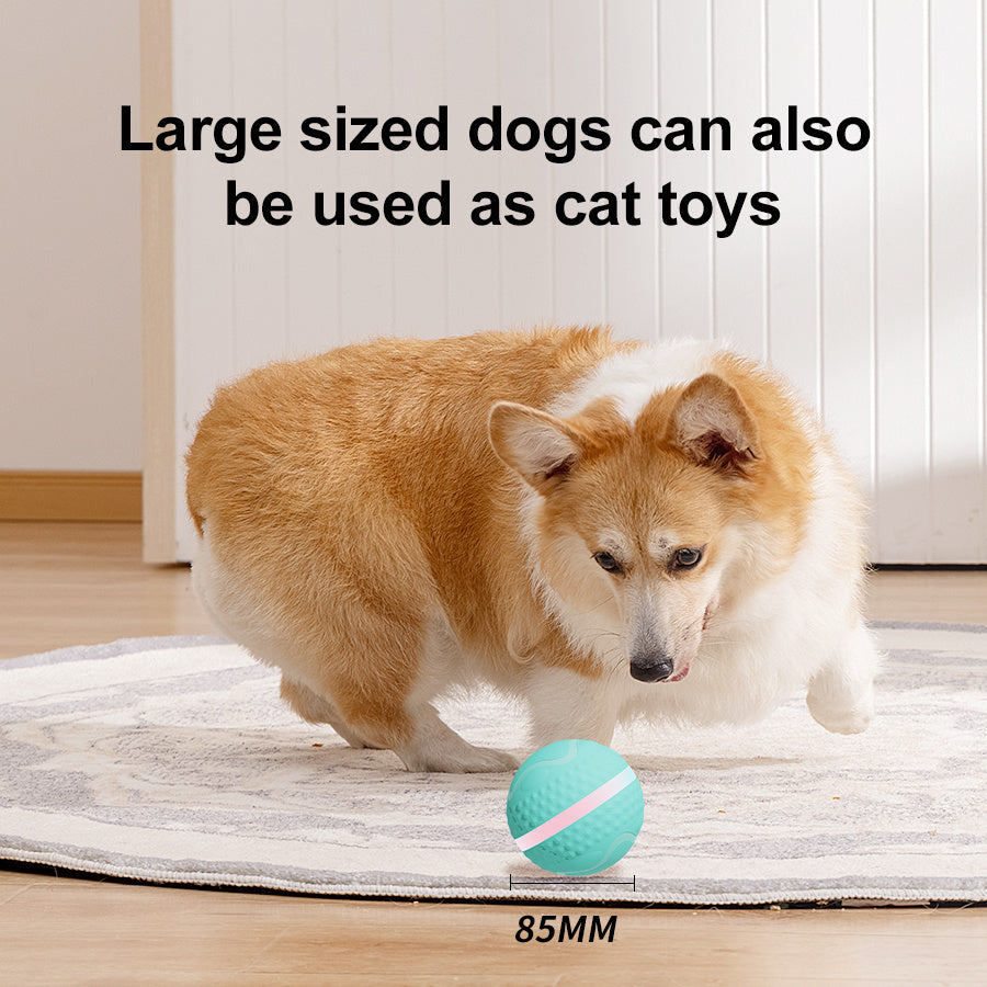 Interactive Electric Rolling Ball for Dogs