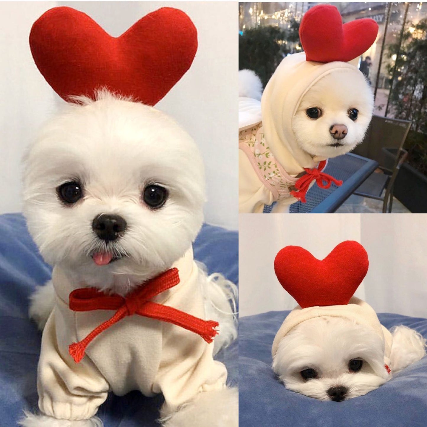 Cute Fruit Hoodie for Small Dogs