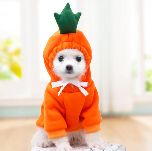 Cute Fruit Hoodie for Small Dogs