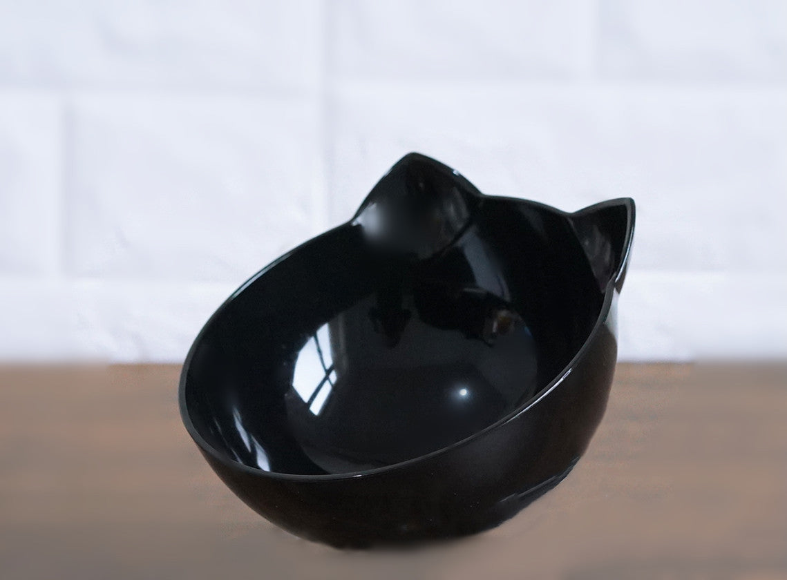 Transparent Tilted Pet Bowl