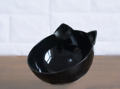 Transparent Tilted Pet Bowl