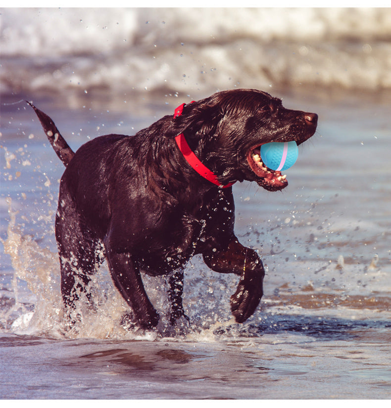Interactive Electric Rolling Ball for Dogs