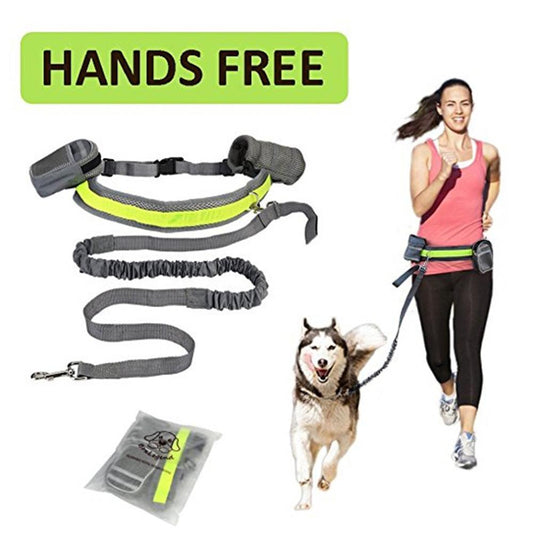Adjustable Hands-Free Dog Leash Set – 4-Piece Running Belt with Waist Bag