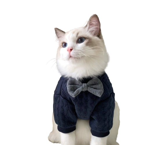 Warm And Cute Clothes For Cats