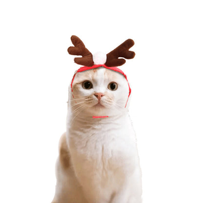Adorable Christmas & Halloween Cat Cloak