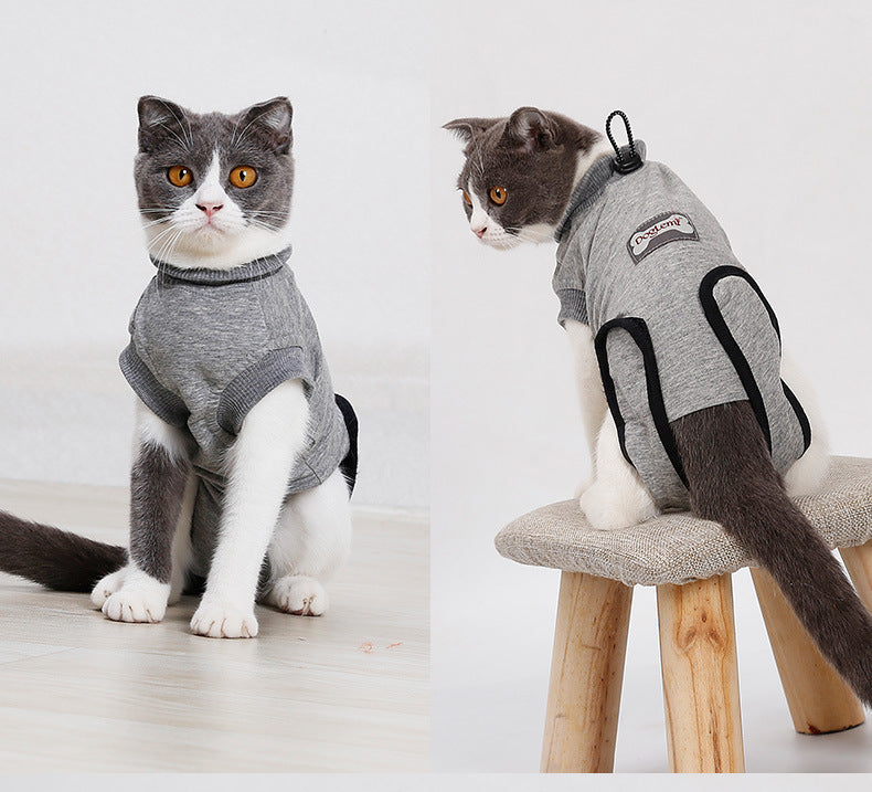 Cat Recovery Suit – Post-Surgery & Anti-Mite Protection