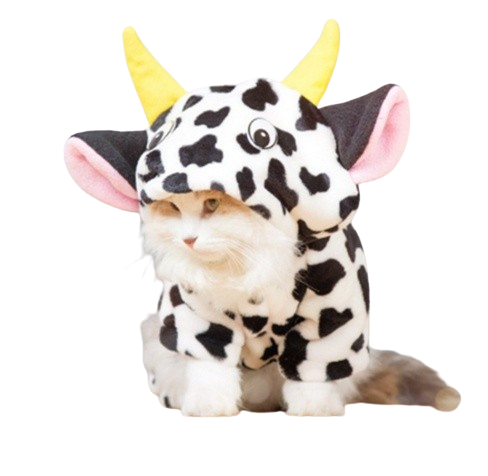 Cozy Cow Hoodie – Winter Outfit for Cats
