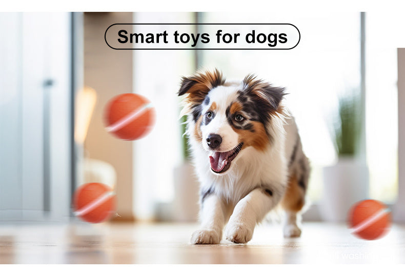 Interactive Electric Rolling Ball for Dogs