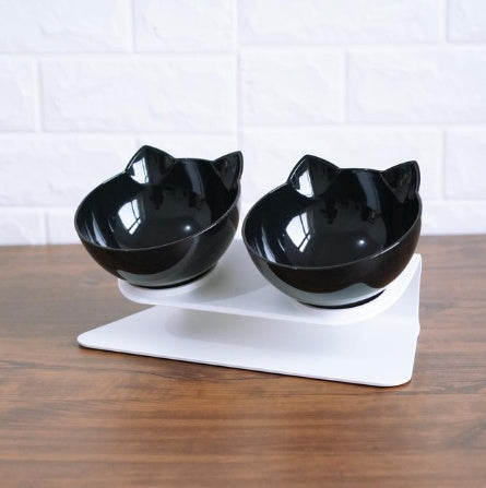 Transparent Tilted Pet Bowl