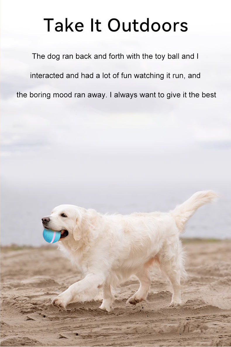 Interactive Electric Rolling Ball for Dogs