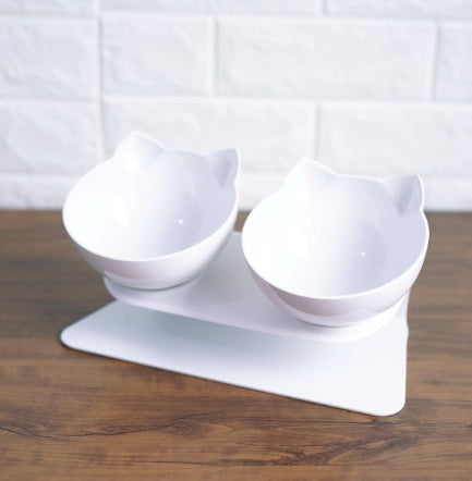 Transparent Tilted Pet Bowl