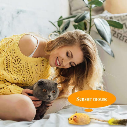 Interactive Cat Toy Mouse