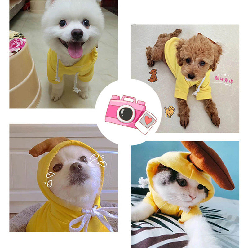 Cute Fruit Hoodie for Small Dogs