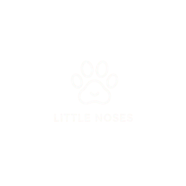 Little Noses