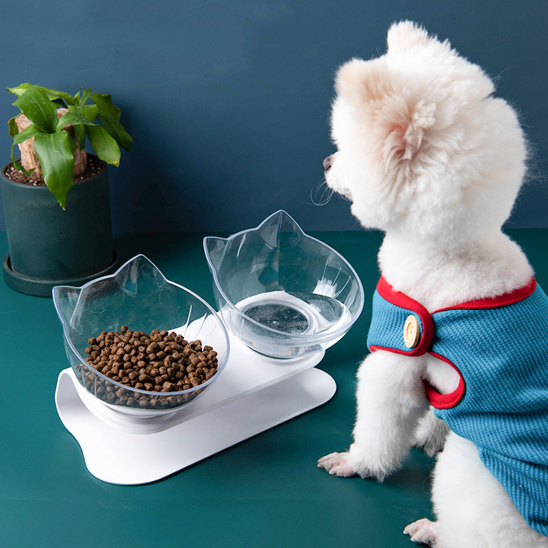 Transparent Tilted Pet Bowl