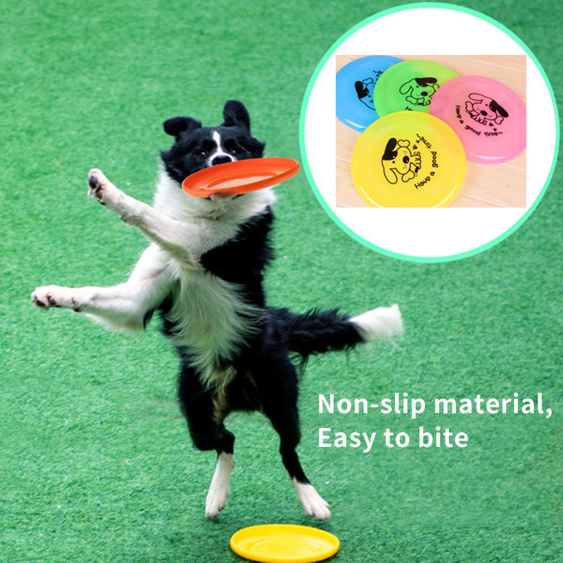 Dog Flying Disc Toy
